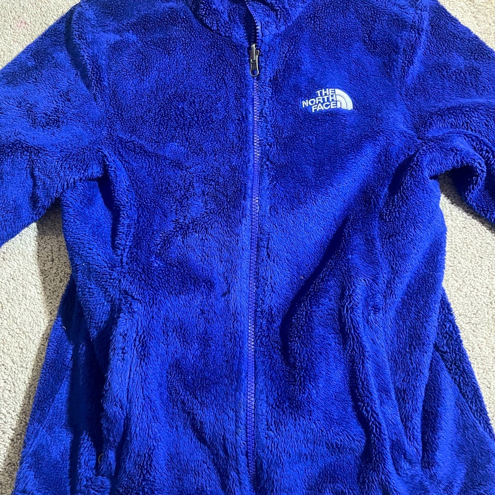 NORTH FACE purple jacket
